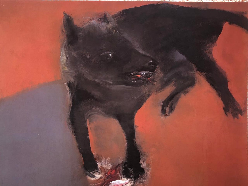 Apariencia y Realidad de Rafael Coronel